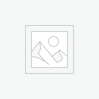 Uncategorized